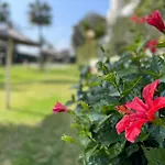 Marbella Puerto Banus Charming 1 Bedroom Apartment